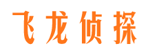 头屯河外遇调查取证